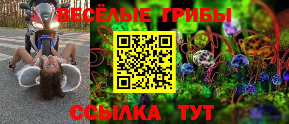 Псилоцибиновые грибы MAGIC MUSHROOMS Моздок